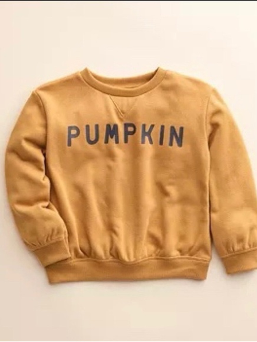 Little Co. Pumpkin Graphic Sweatshirt — 4T